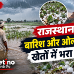 राजस्थान में बारिश और ओलावृष्टि से खेतों में भरा पानी